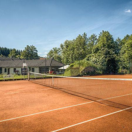 Penzion U Dracice Hotel Nová Bystřice Kültér fotó
