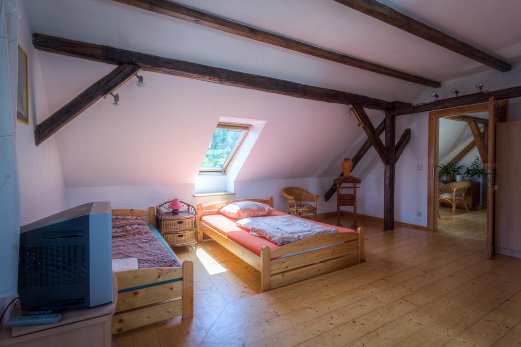 Penzion U Dracice Hotel Nová Bystřice Kültér fotó